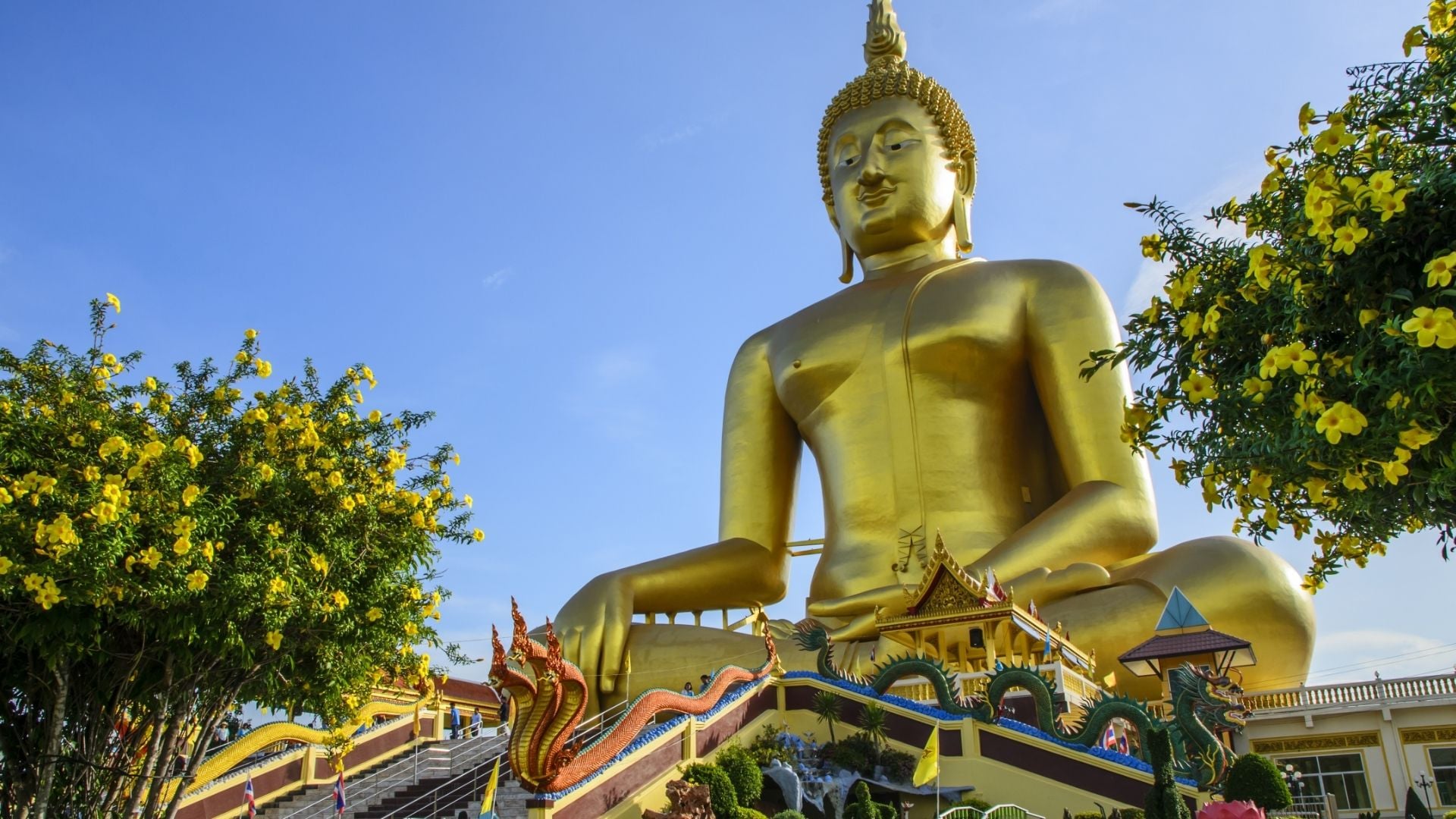 SUPER TAILANDIA, INDIA Y NEPAL