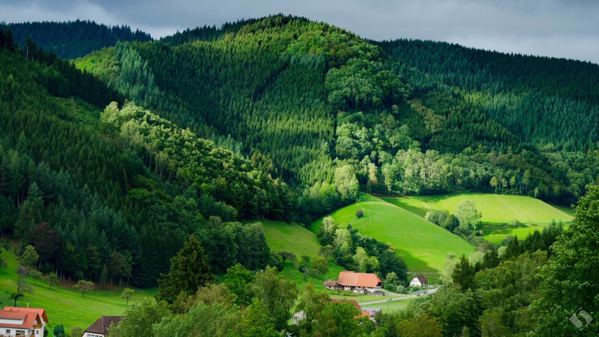 ALEMANIA ROMANTICA Y SELVA NEGRA
